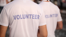 Back of a group of volunteers
