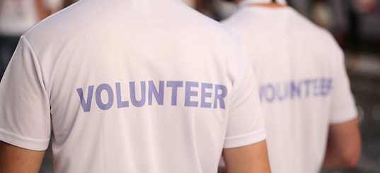 Back of a group of volunteers