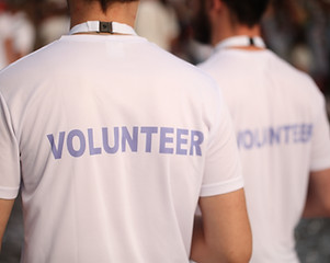 Back of a group of volunteers