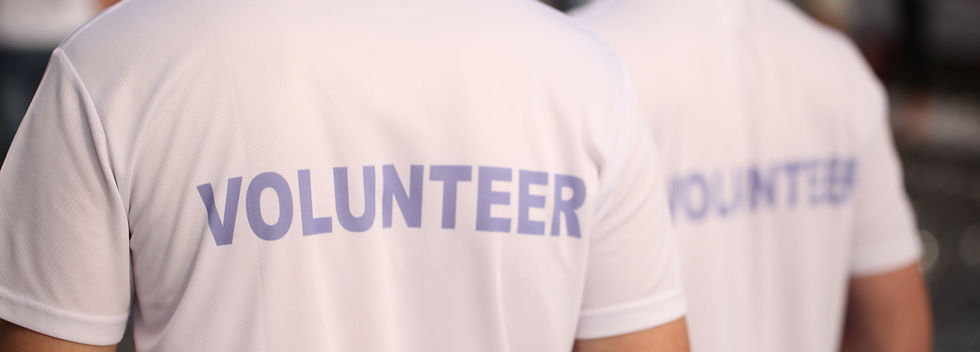 Back of a group of volunteers