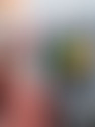 Brasil amplia mistura de biocombustíveis em meio à pressão internacional e alta do petróleo