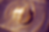 Seashell