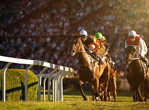 Horse Race