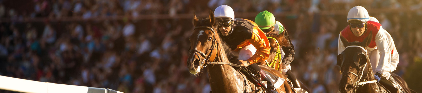 Horse Race
