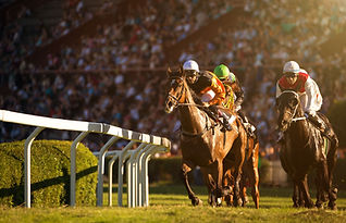 Horse Race