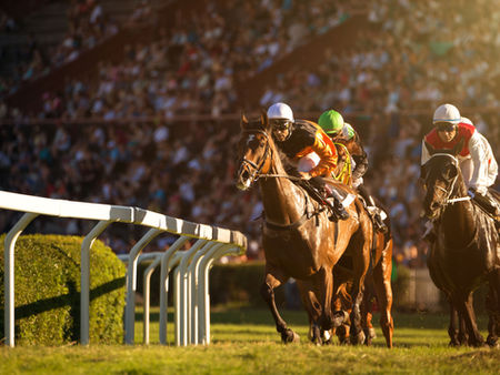Racing horses