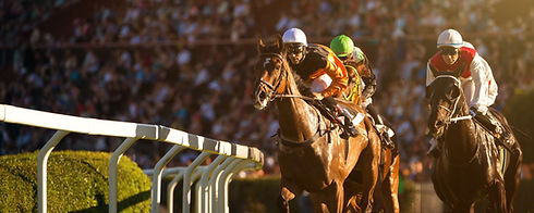 Horse Race