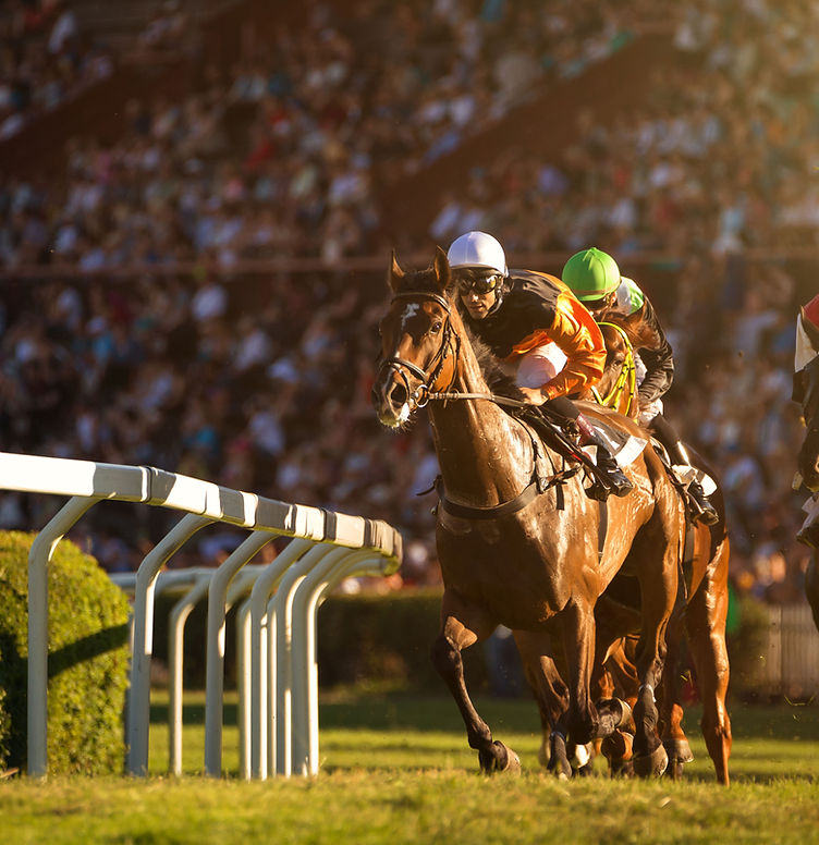Sign up for daily horse racing tips and selections