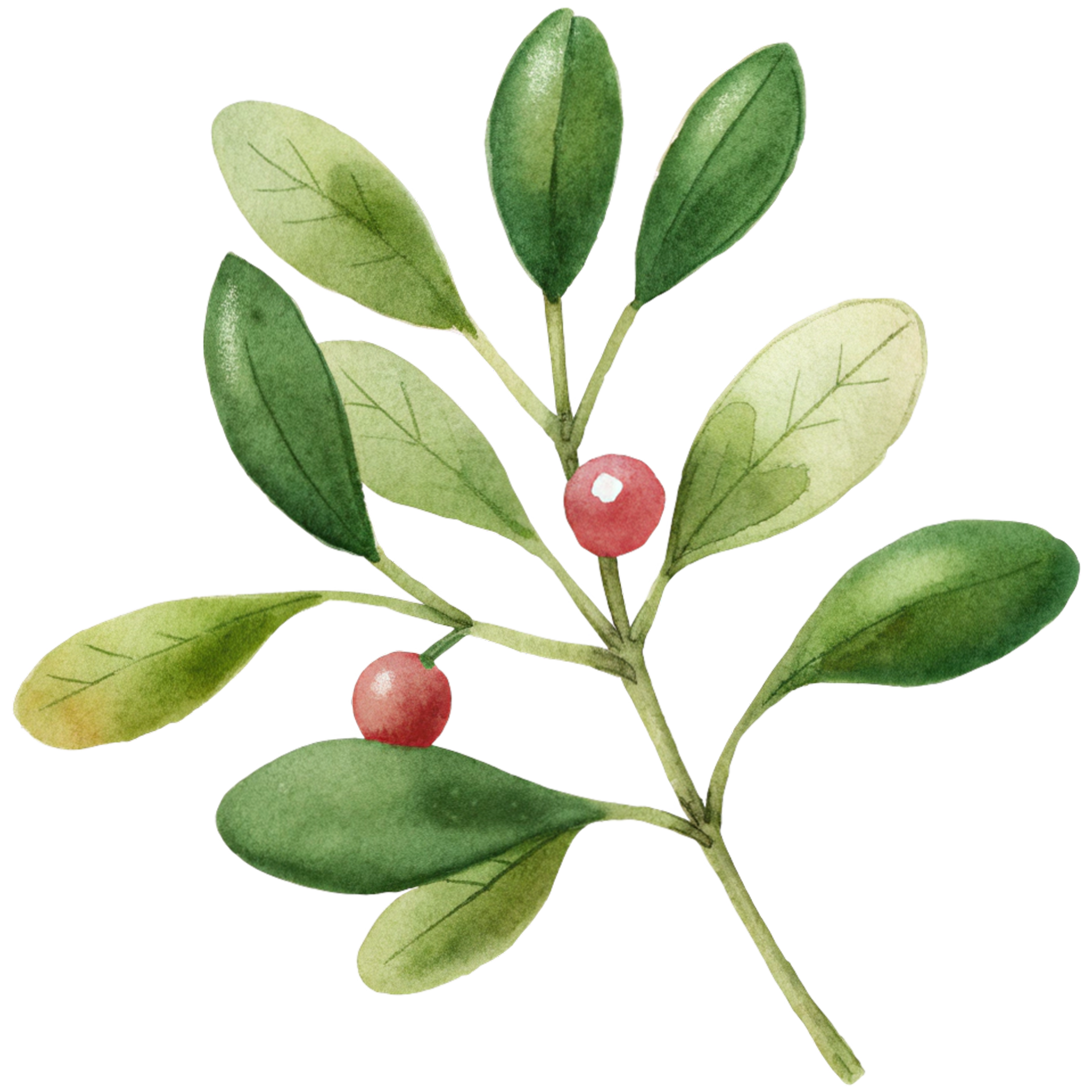 $750 – Mistletoe Sponsor