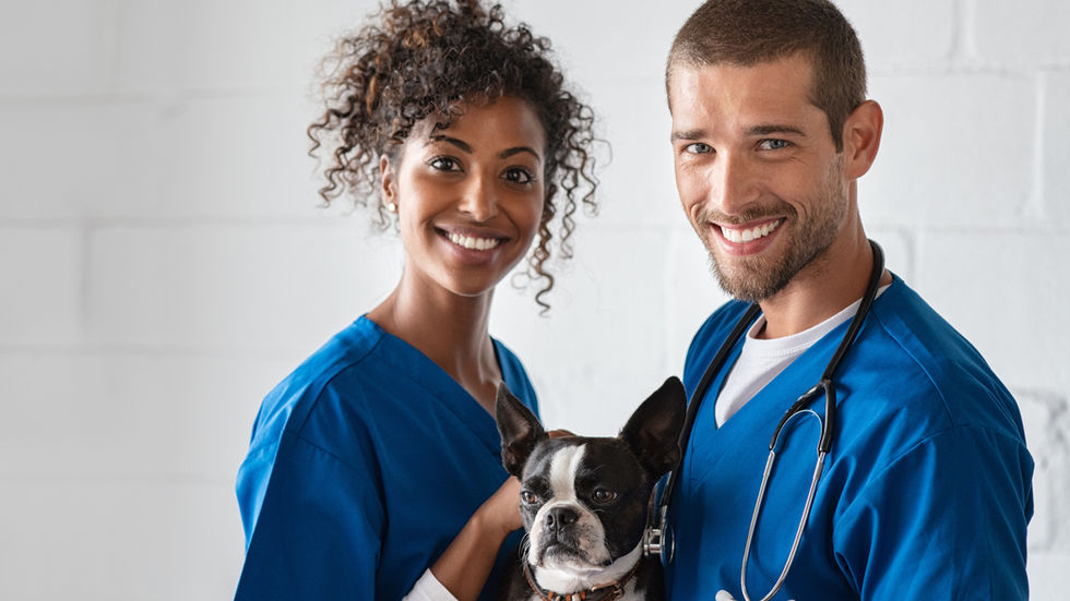 experiencia del cliente en veterinarias