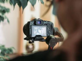 Camera on tripod capturing steady image of a house plant.