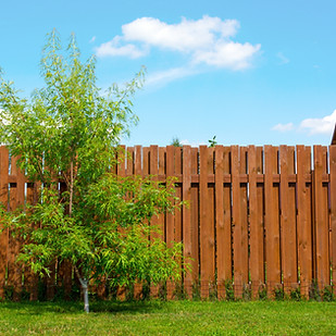 Wooden fence