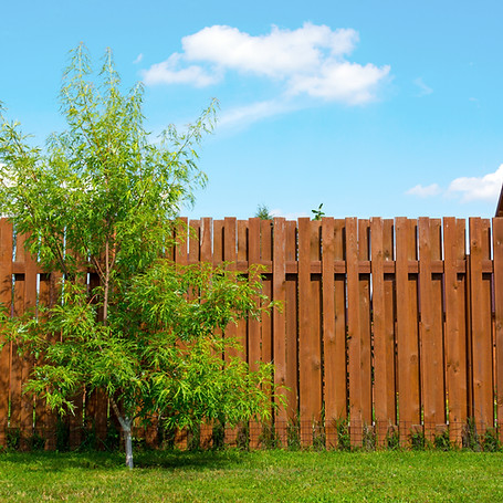 Wooden fence in a country house