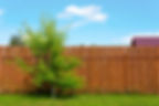 Wooden garden fence