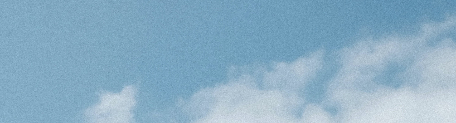 website new
