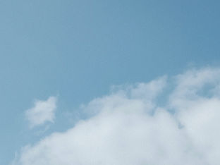 Et skifte til plantebaseret landbrug betyder renere luft og færre dødsfald som følge af luftforurening