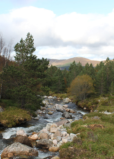 Natureza bela