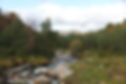 Prachtige natuur