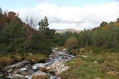 Beautiful Nature