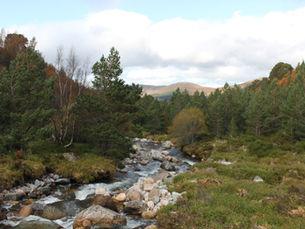 A beautiful countryside and a small river scene of nature 