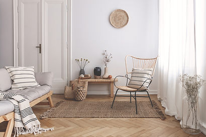 Minimalist Living Room