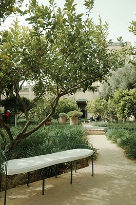 Tranquil Garden Bench