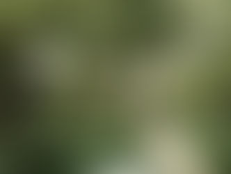 Vendor Spotlight – Cleaning & Landscaping