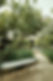 Garden Bench and Foliage