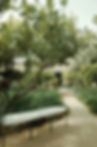Garden Bench and Foliage