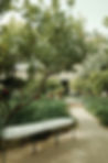 Garden Bench and Foliage
