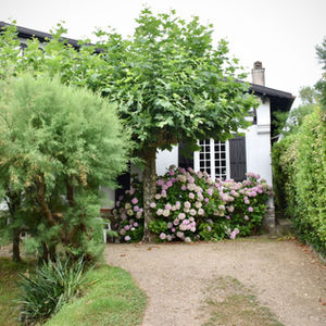 Aussenansicht Einfamilienhaus aus der Gartenperspektive