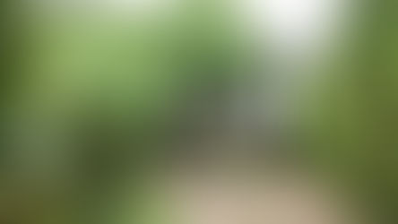 Et pourquoi pas se doter d'un broyeur avec son voisin ?