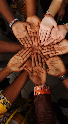 Diverse Hands Unity