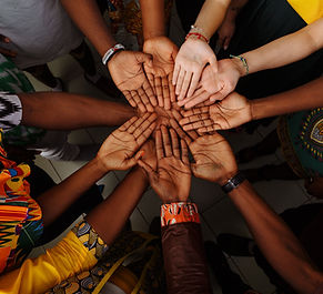 Diverse Hands Unity