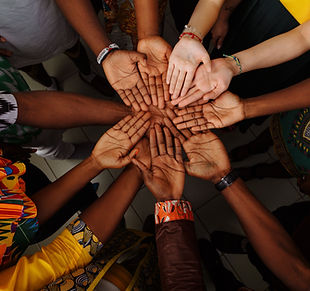 Diverse Hands Unity