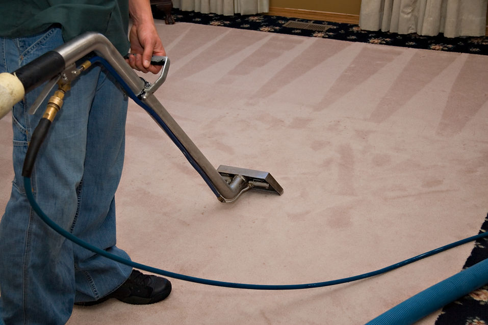 This is a professional carpet cleaner