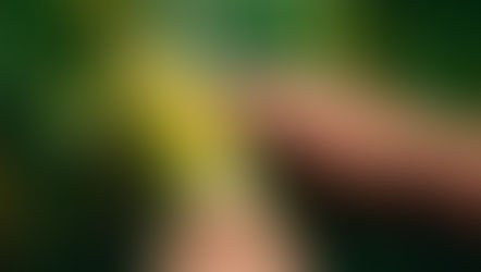 Sweetcorn Wasn't Originally Sweet: The Historical Science Of Maize