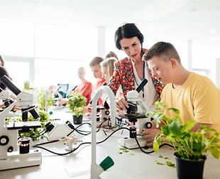 UA_Majors_Biomedical Engineering.jpeg