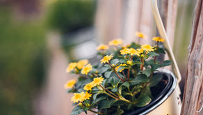 Podcastfolge „Warum wir im Frühjahr müde sind“ von Sabrina Barner.