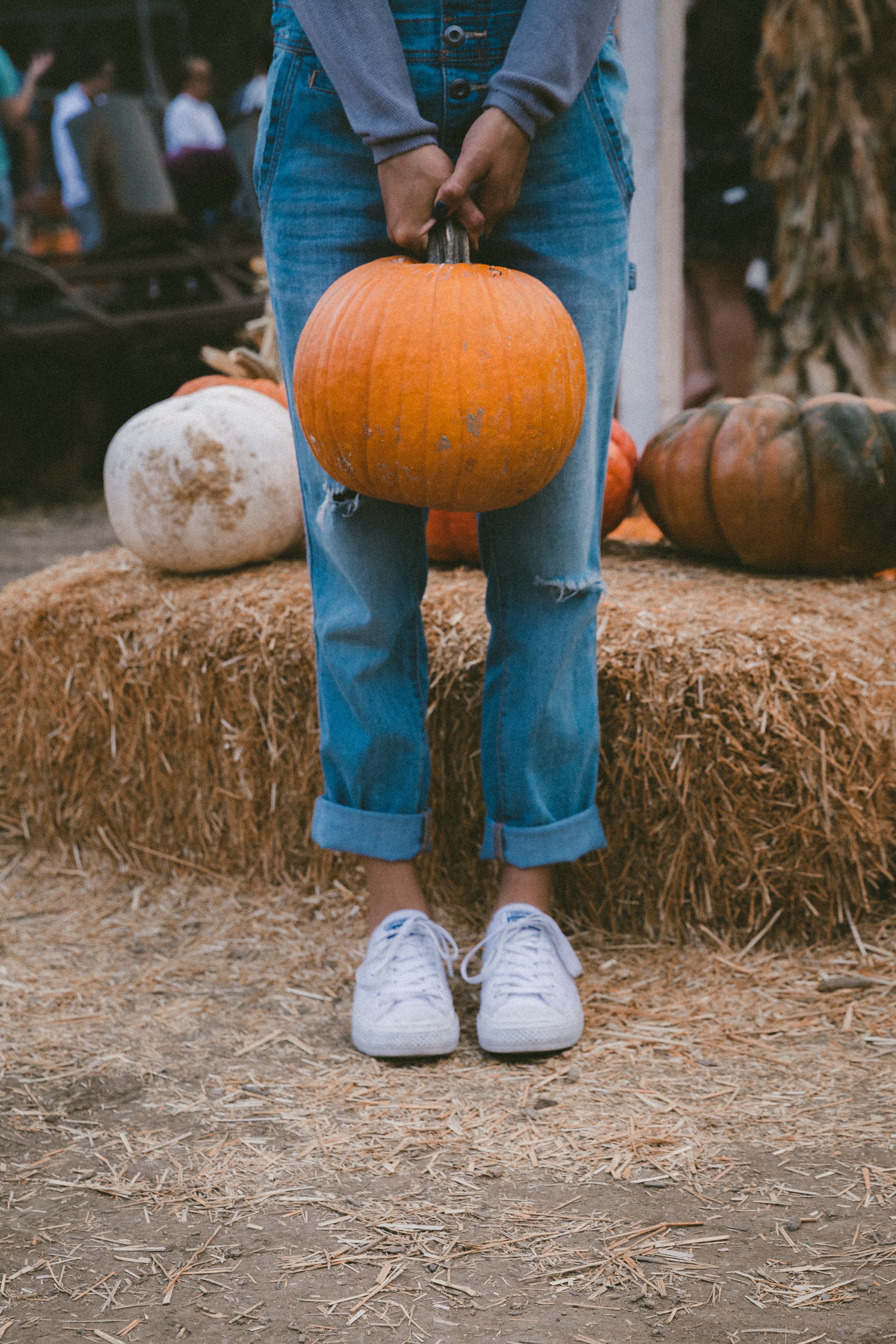 Fall in the Hill Country content media