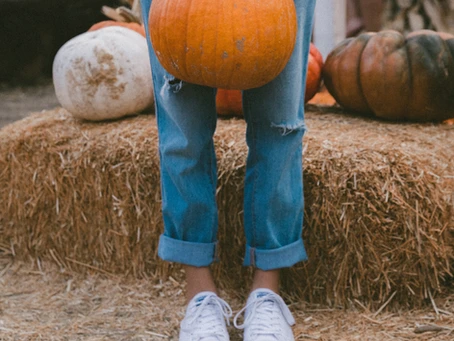 Pumpkin Carving Festival 