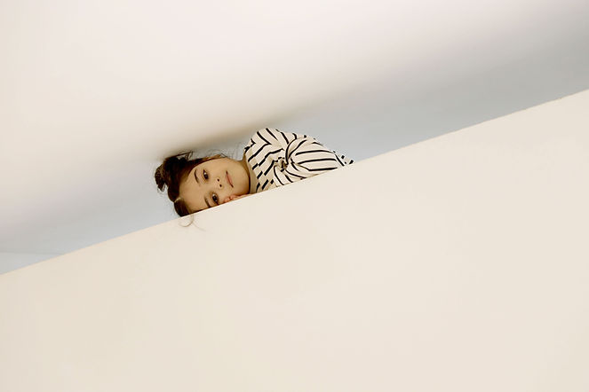 Hide and Seek