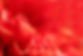 Rote Blüte