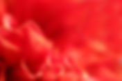 Menstruation ist kein Geheimprojekt