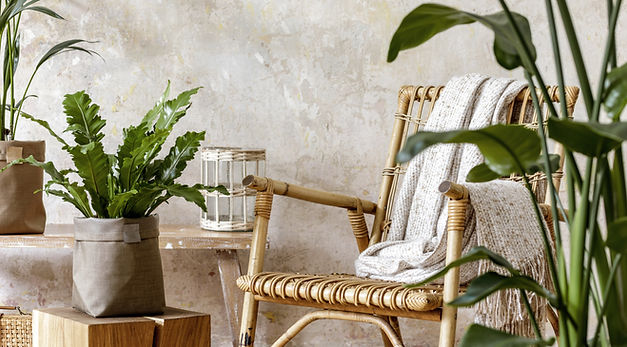 Intérieur organique