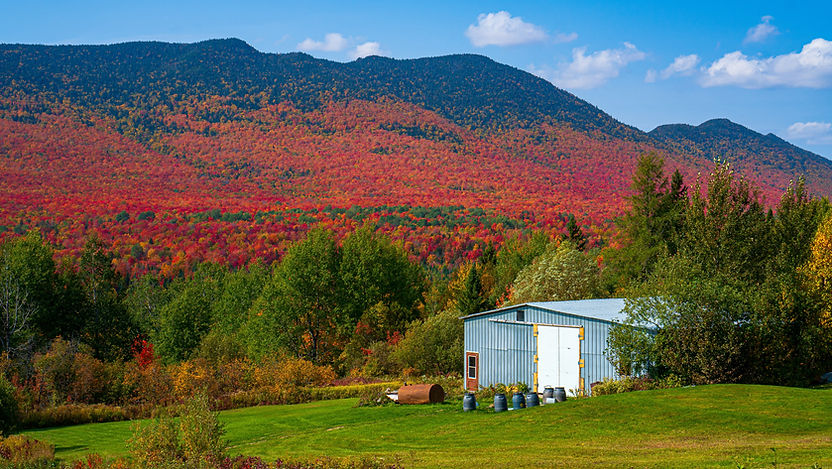 Autumn Mountain