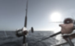 Fishing Rod