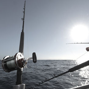 Riptide Fishing Charters South Coast | In Proud Partnership With Adventure Lifestyle Magazine