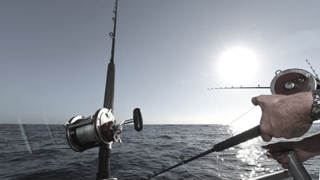 Riptide Fishing Charters South Coast | In Proud Partnership With Adventure Lifestyle Magazine