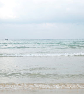 Waves